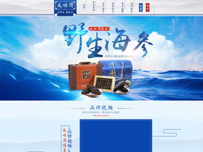 海參海鮮PSD設(shè)計(jì)素材 提升天貓?zhí)詫氻撁嬉曈X層次的專業(yè)工具
